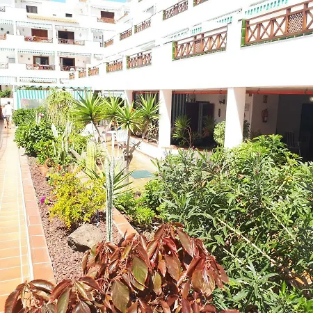 Apartment Victoria Los Cristianos Arona (Tenerife)